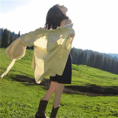 山水情