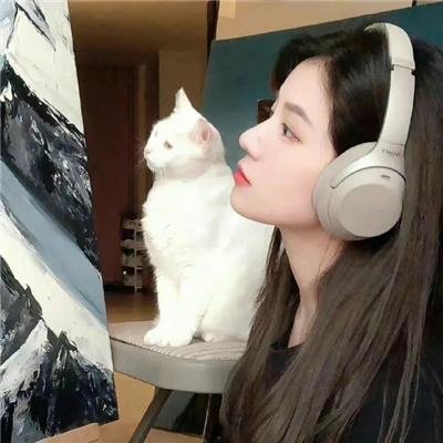 《戴维达丝》